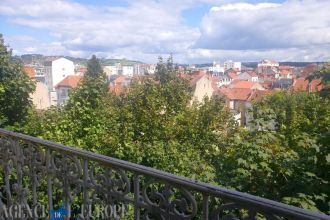 Appartement F2 très bon état avec cave et balcon - Vichy Thermal